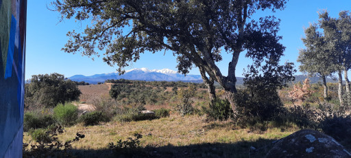 terrain vente Vivès