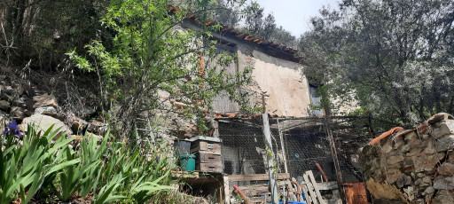 terrain vente Arles-sur-tech