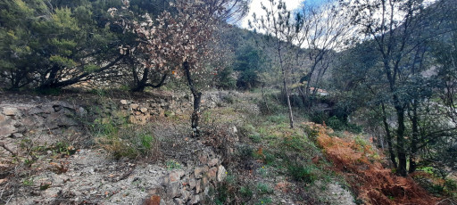 terrain vente Arles-sur-tech
