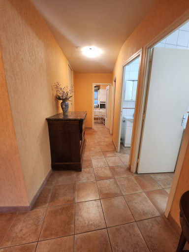 appartement vente Amélie-les-bains-palalda