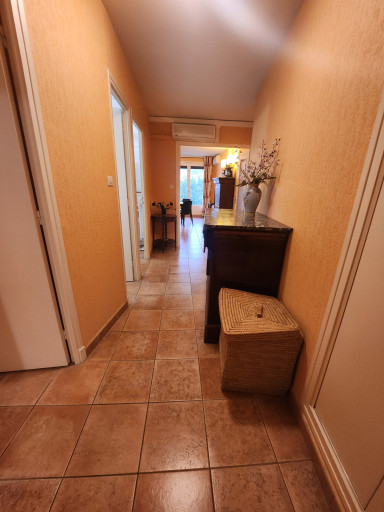 appartement vente Amélie-les-bains-palalda
