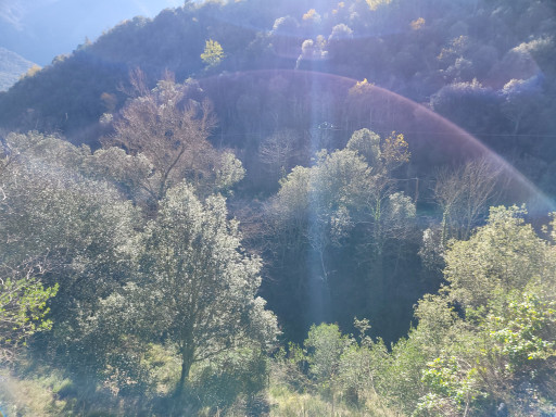 terrain vente Arles-sur-tech