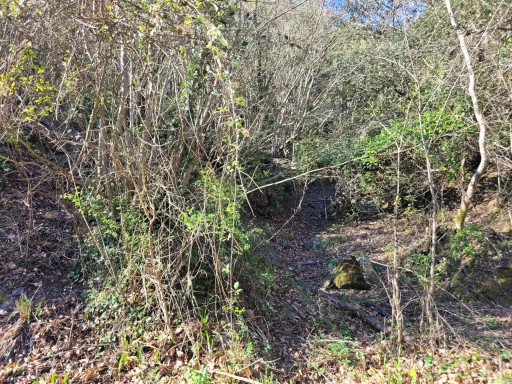 terrain vente Arles-sur-tech