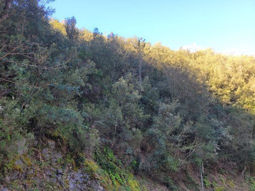 terrain vente Arles-sur-tech