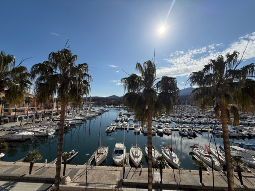 appartement vente Argelès-sur-mer