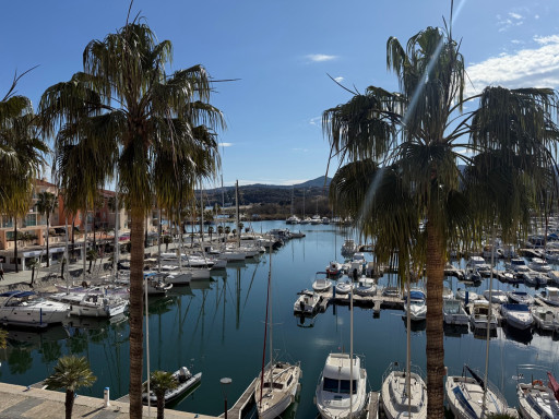appartement vente Argelès-sur-mer