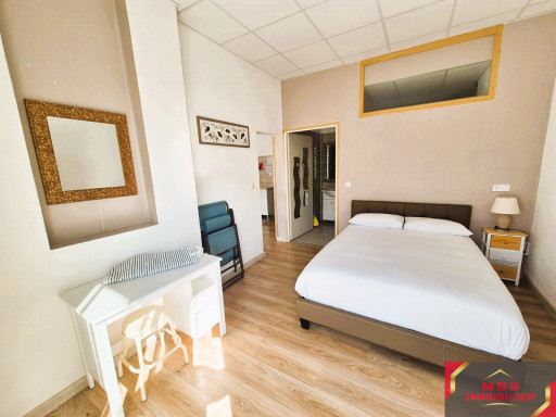 appartement vente Montbolo