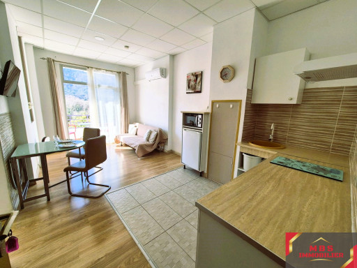 appartement vente Montbolo