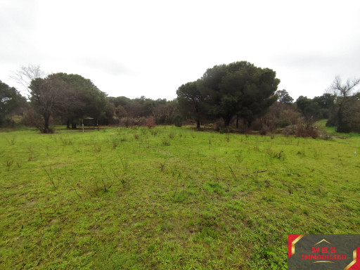 terrain vente Argelès-sur-mer