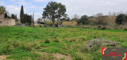 terrain vente Perpignan