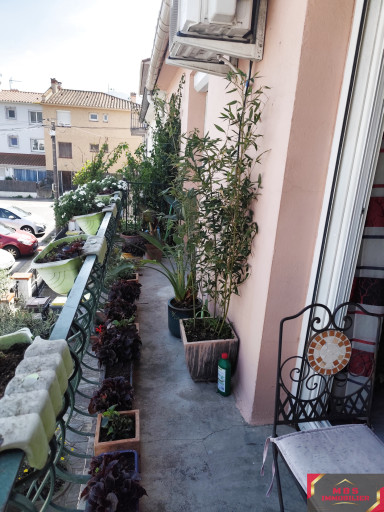 appartement vente Argelès-sur-mer
