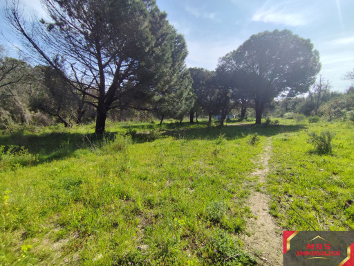 terrain vente Argelès-sur-mer