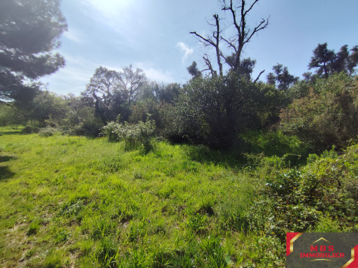 terrain vente Argelès-sur-mer