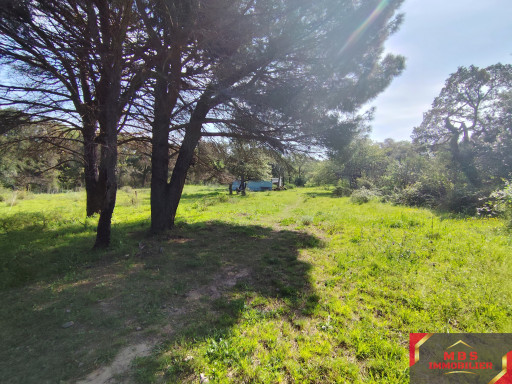 terrain vente Argelès-sur-mer
