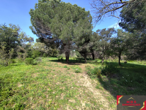 terrain vente Argelès-sur-mer
