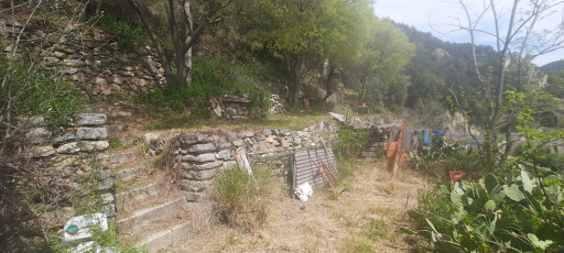 terrain vente Arles-sur-tech