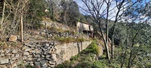 terrain vente Arles-sur-tech