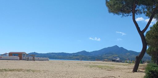 appartement vente Argeles plage