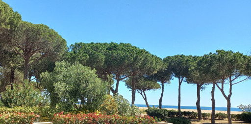 appartement vente Argeles plage
