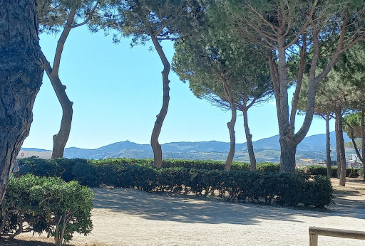 appartement vente Argeles plage