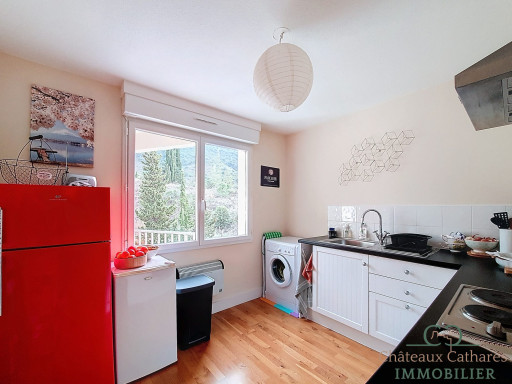appartement vente Saint-paul-de-fenouillet