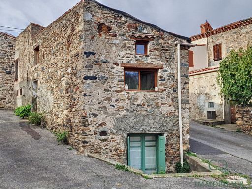 maison vente Rasiguères