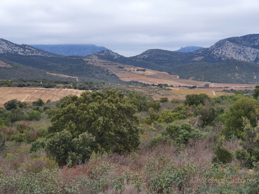 terrain vente Lesquerde