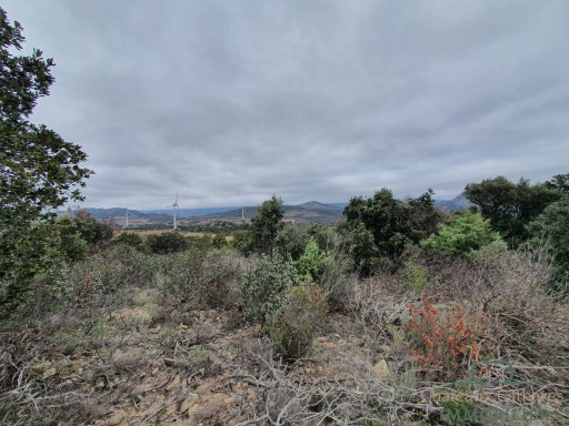 terrain vente Lesquerde