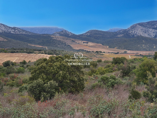 terrain vente Lesquerde
