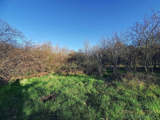 terrain vente Caudiès-de-fenouillèdes