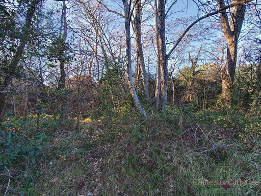 terrain vente Caudiès-de-fenouillèdes