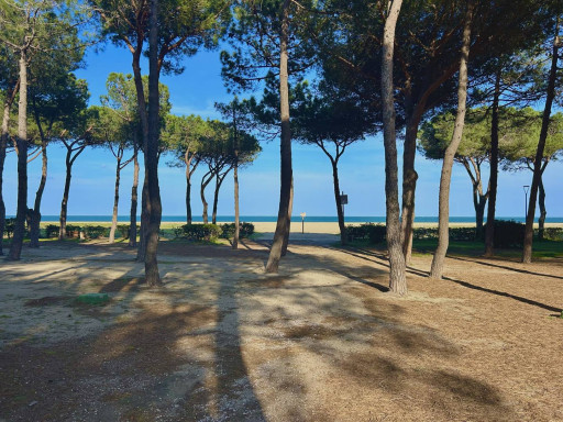 appartement location vacances Argeles plage