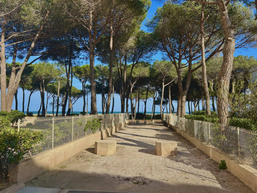 appartement location vacances Argeles plage