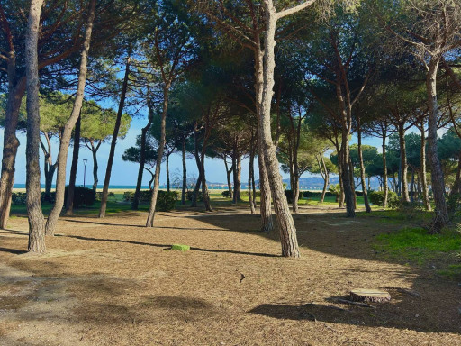 appartement location vacances Argeles plage