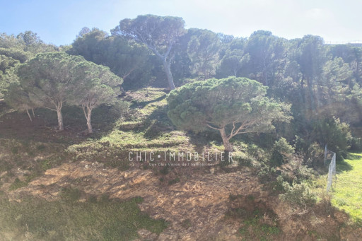 appartement vente Banyuls-sur-mer