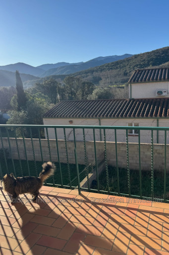 appartement à louer Reynès
