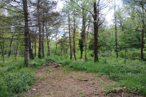 maisonvilla vente Prats-de-mollo-la-preste