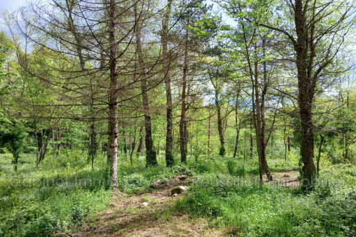 maisonvilla vente Prats-de-mollo-la-preste