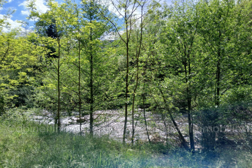 maisonvilla vente Prats-de-mollo-la-preste