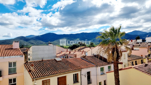 appartement vente Argelès-sur-mer