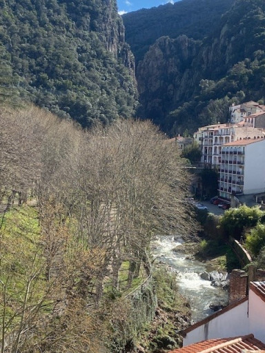 appartement vente Amélie-les-bains-palalda
