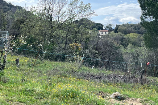 terrain vente Céret