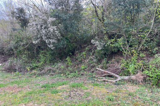 terrain vente Céret