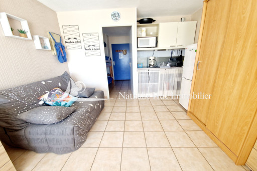 appartement vente Saint-cyprien