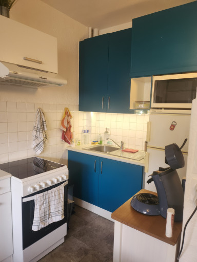 appartement vente Amélie-les-bains-palalda