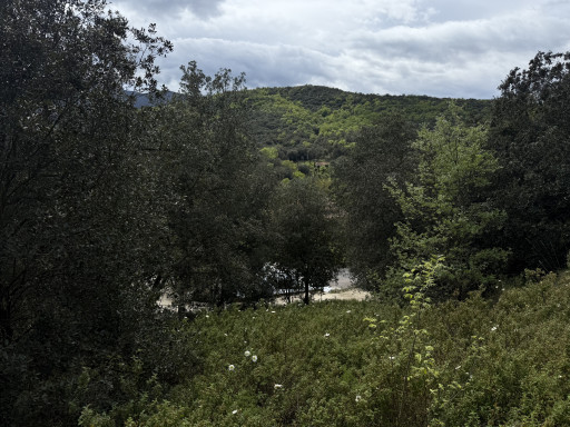 terrain vente Reynès