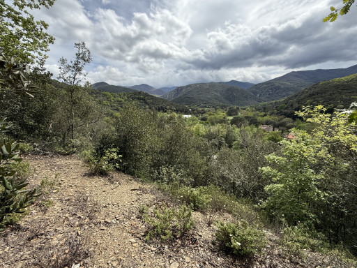 terrain vente Reynès