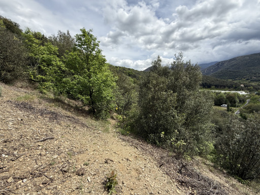 terrain vente Reynès
