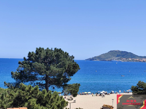appartement vente Argelès-sur-mer