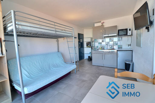 appartement à louer Saint-cyprien